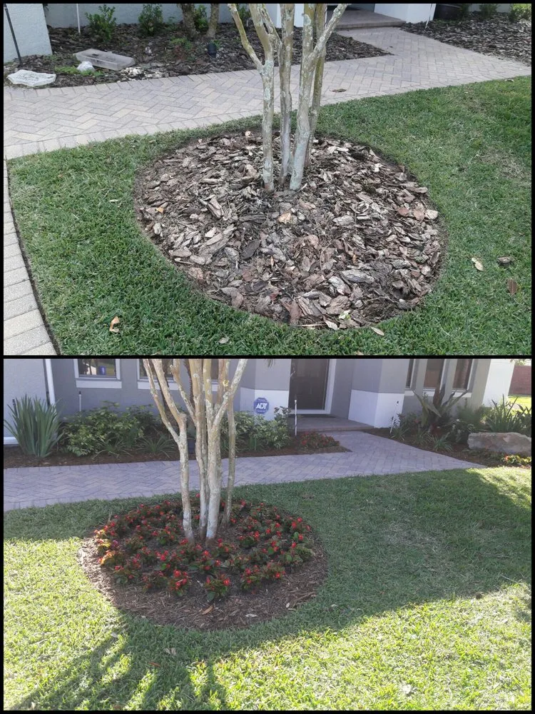 Top-rated lawn care service experts serving Winter Garden, FL - Sierra Landscaping