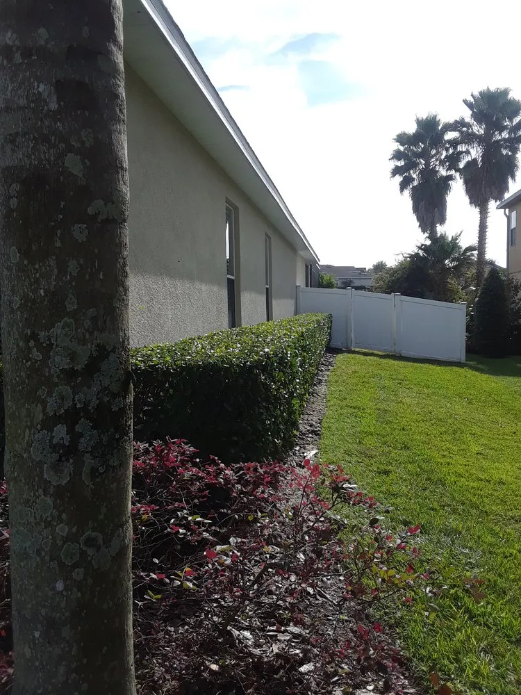 Expert landscaping services in Winter Garden, FL by Sierra Landscaping