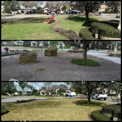 Sierra Landscaping