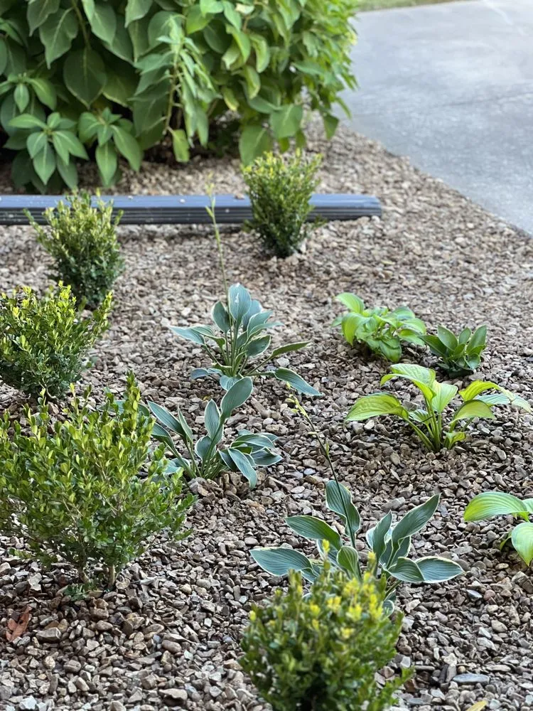 Expert landscape design for outdoor upgrades in Fayetteville, AR by Sierra lawn and landscape