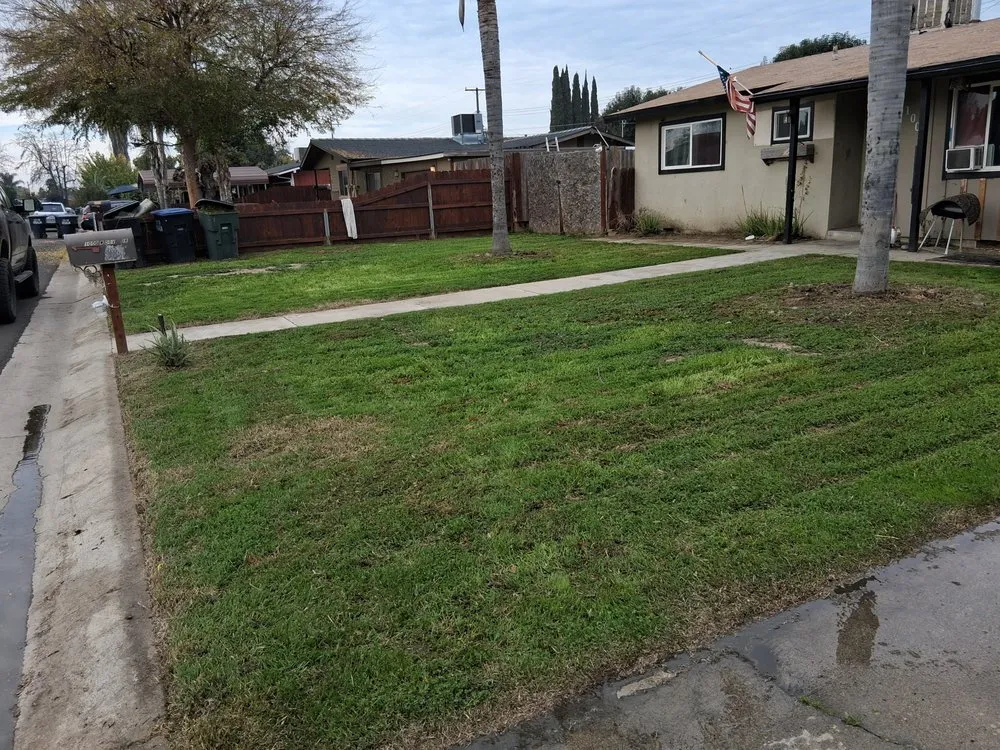 Custom yard maintenance in Cutler, CA - Sierra Lawn Care