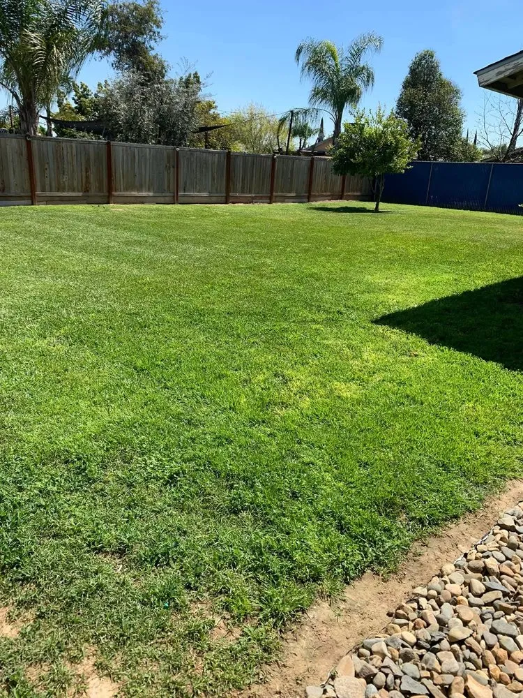 Reliable landscaping services near you across Cutler, CA - Sierra Lawn Care