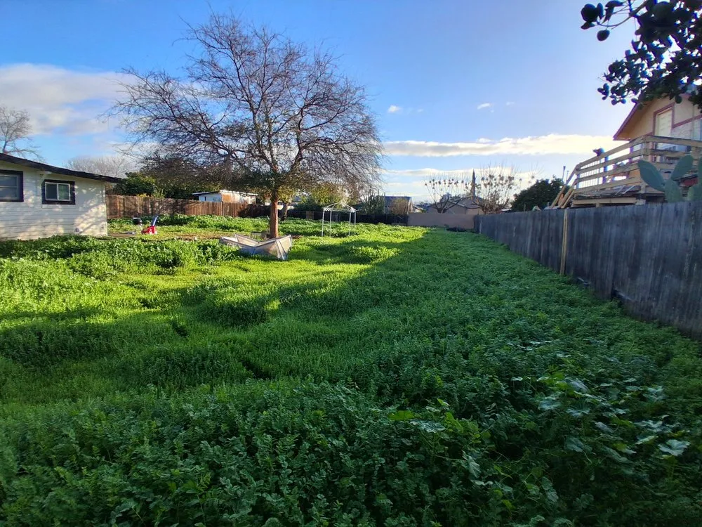 Professional landscaping services near you in Cutler, CA by Sierra Lawn Care