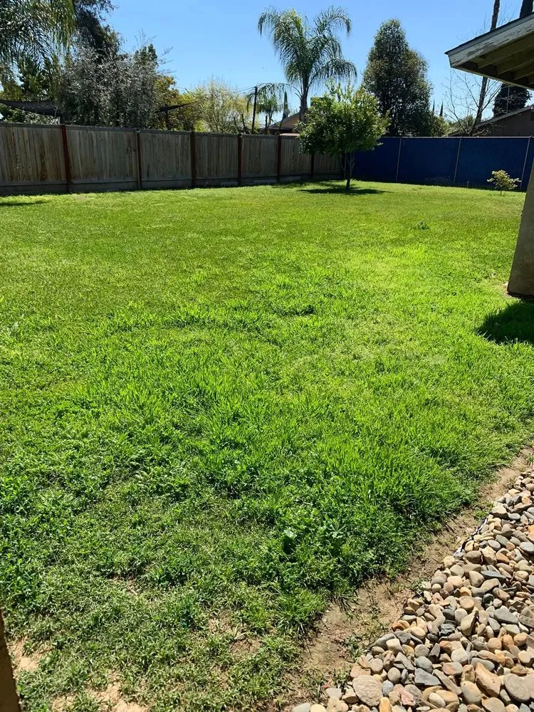 Trusted yard maintenance for year-round maintenance in Cutler, CA by Sierra Lawn Care
