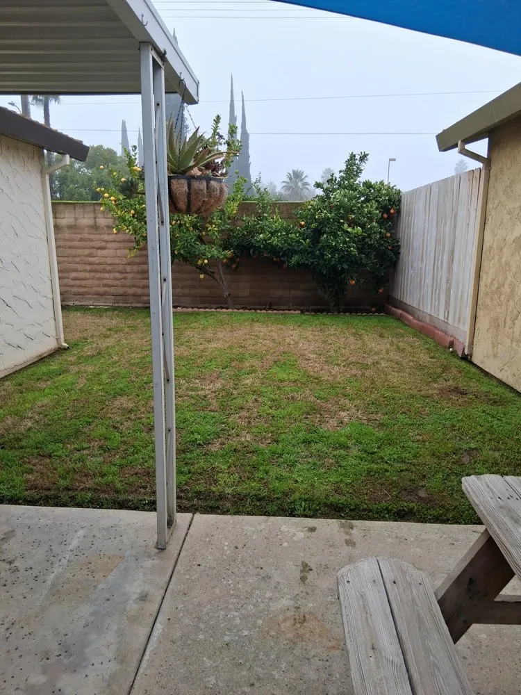 Custom yard cleanup service for residential properties across Cutler, CA - Sierra Lawn Care
