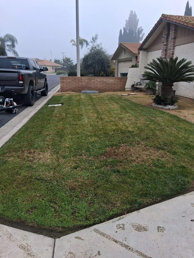 Custom lawn mowing service for outdoor upgrades in Cutler, CA by Sierra Lawn Care