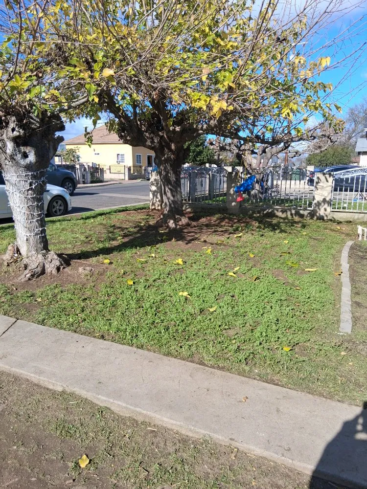 Top-rated outdoor landscaping in Cutler, CA - Sierra Lawn Care