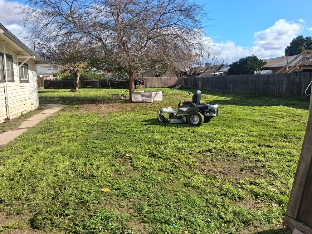 Custom lawn care service in Cutler, CA - Sierra Lawn Care