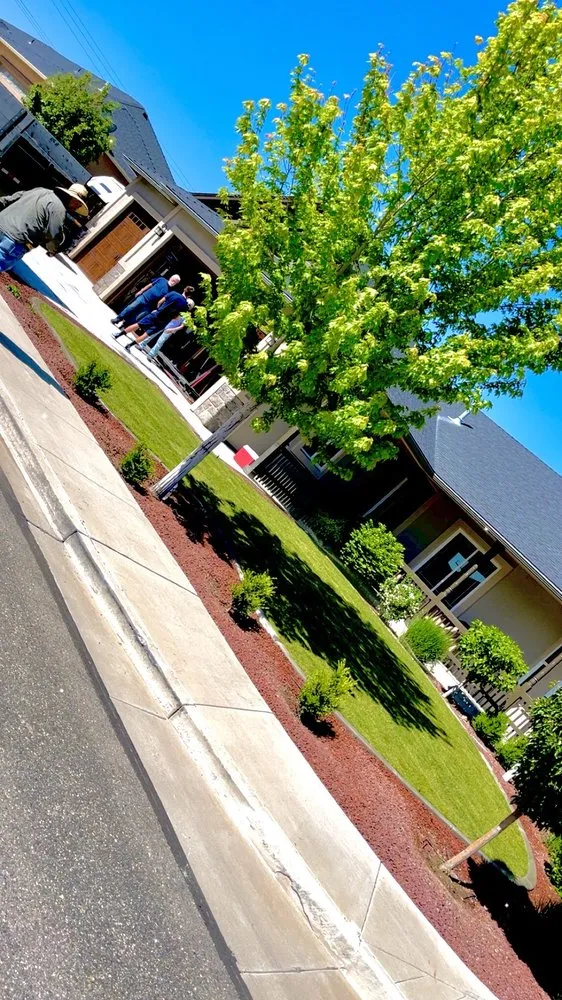 Reliable landscape design experts serving Carson City, NV - Sierra Nevada Maintenance