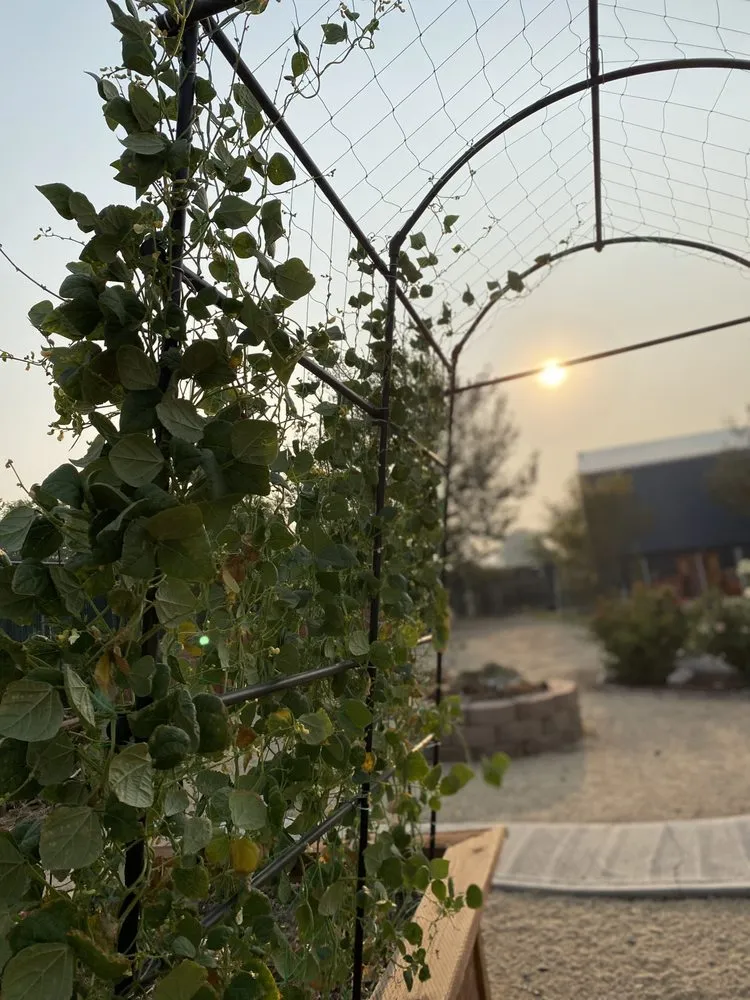 Professional landscaping services in Reno, NV by Sierra Nevada Yard Care