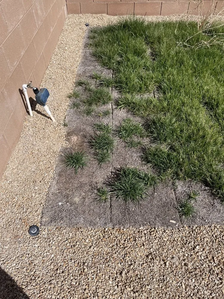 Local garden landscaping in Pahrump, NV - Sierra Norte Landscaping