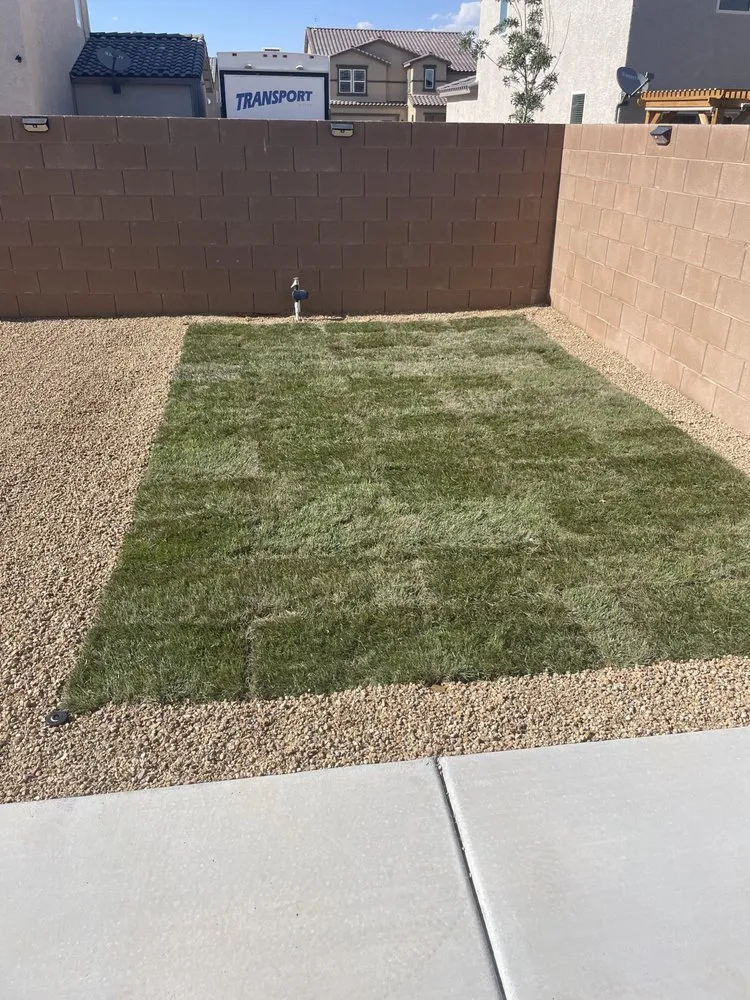 Reliable residential landscaping for outdoor upgrades across Pahrump, NV - Sierra Norte Landscaping