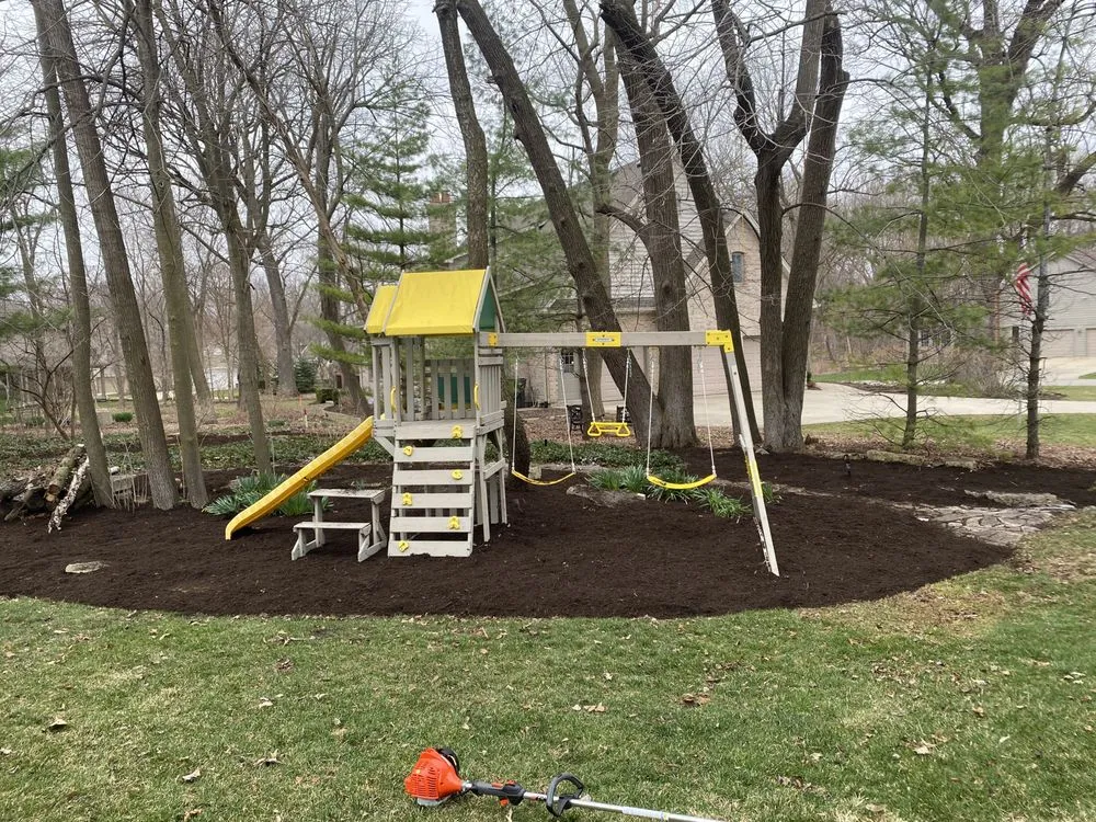 Trusted yard cleanup service for year-round maintenance in Aurora, IL by Sierra Pro