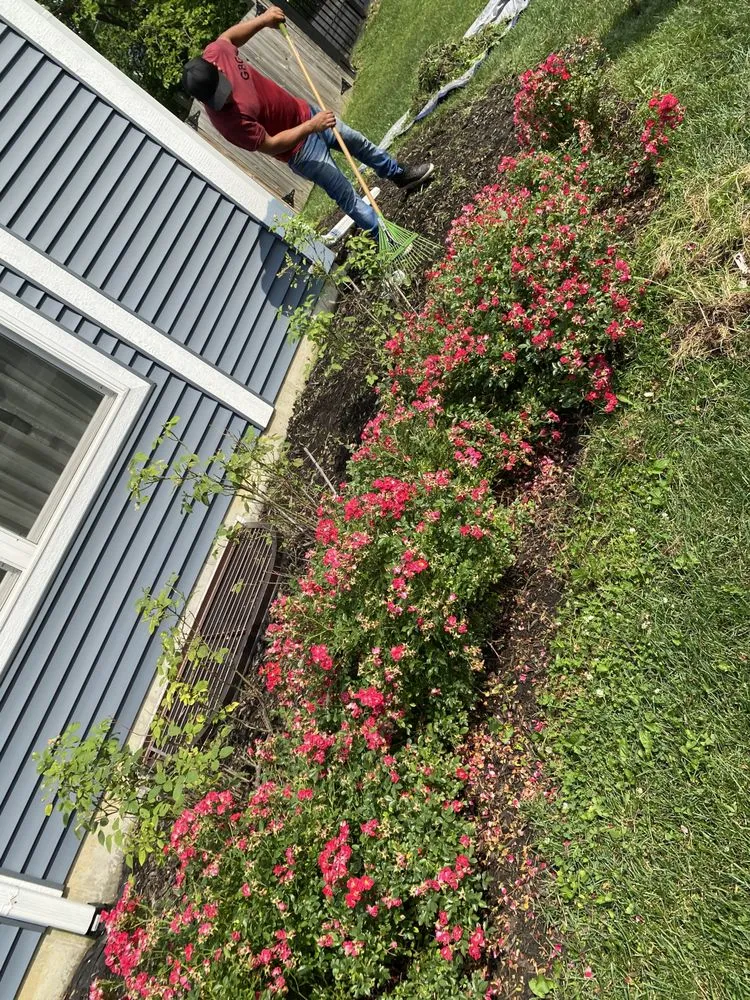 Expert residential landscaping in Aurora, IL by Sierra Pro