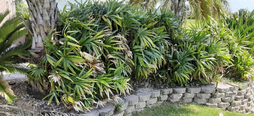 Local outdoor landscaping for residential properties across Panama City, FL - Sierra Pro Services