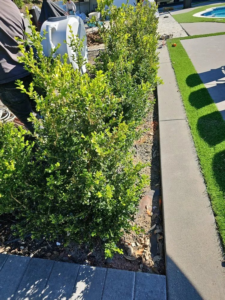 Expert lawn mowing service experts serving San Diego, CA - Sierra Revolution Landscaping