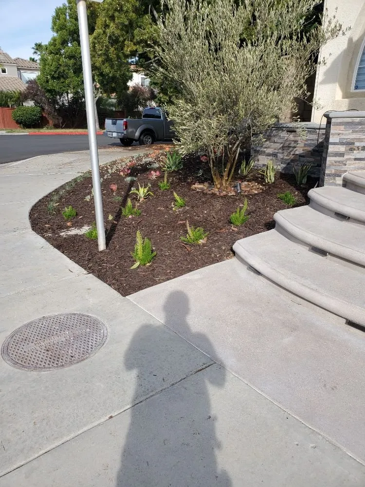 Trusted landscape installation for outdoor upgrades in San Diego, CA by Sierra Revolution Landscaping