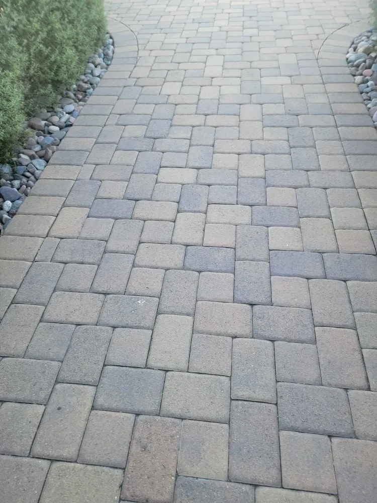 Professional outdoor landscaping experts serving San Diego, CA - Sierra Revolution Landscaping