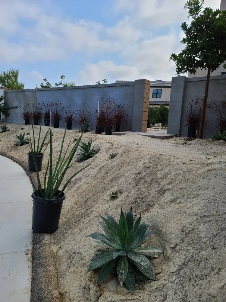 Top-rated lawn mowing service for beautiful yards in San Diego, CA by Sierra Revolution Landscaping