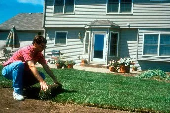 Expert landscape design for year-round maintenance in Dixon, CA by Sierra Sod & Supply