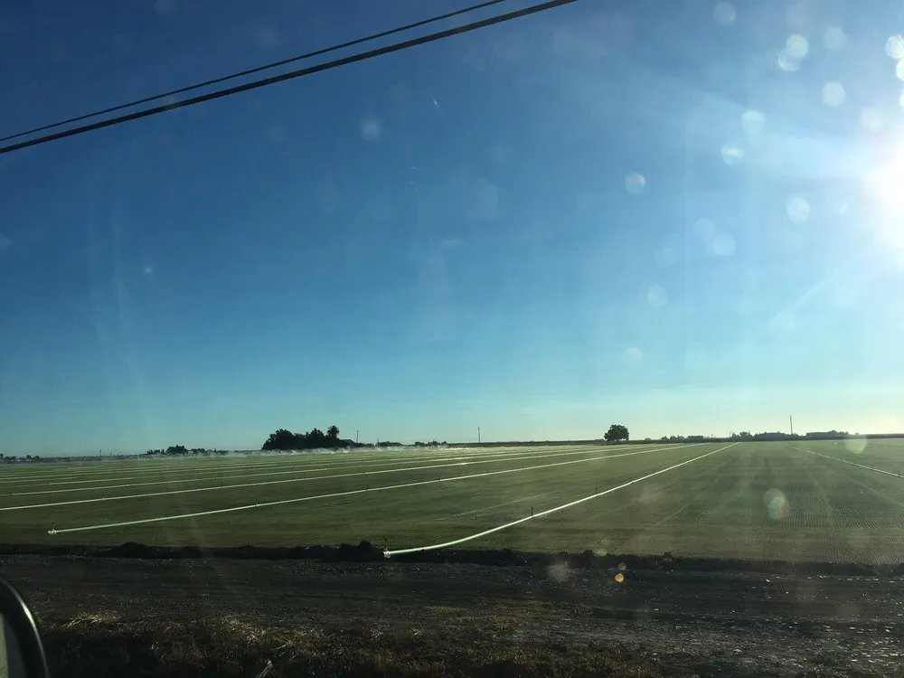 Local lawn mowing service in Dixon, CA - Sierra Sod & Supply