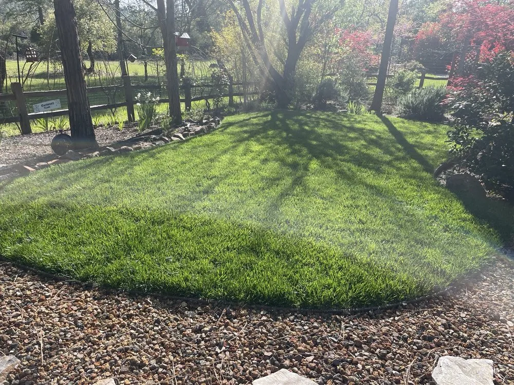 Custom lawn care service for homes in Grass Valley, CA by Sierra Sun Fences & Landscaping