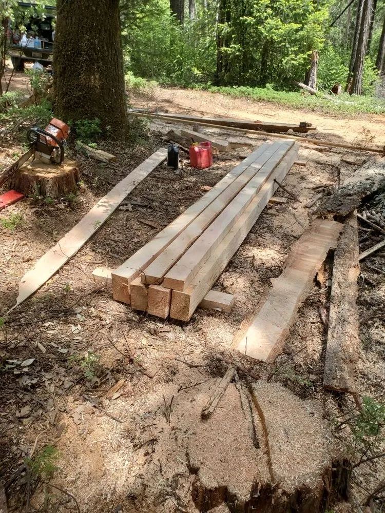 Trusted yard maintenance in Smith Valley, NV by Sierra Timber Scape