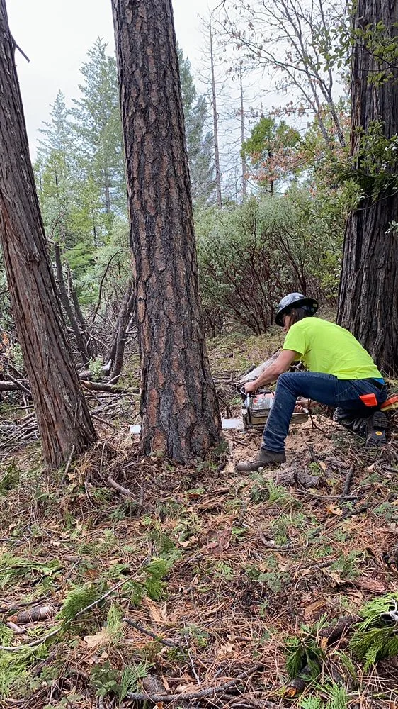 Expert landscape installation in Smith Valley, NV by Sierra Timber Scape