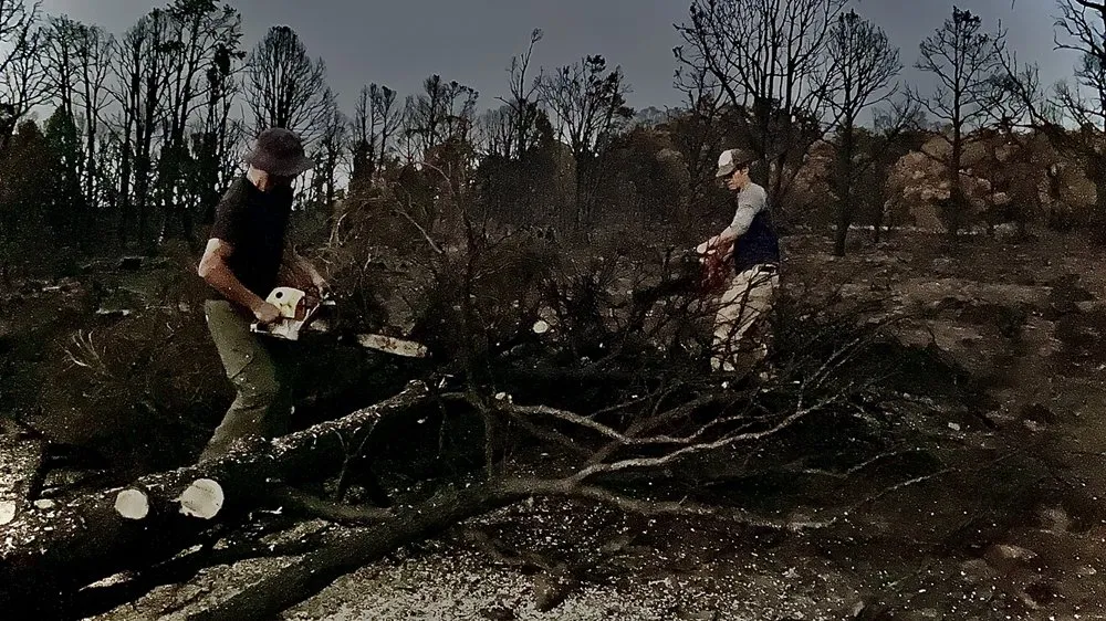 Custom yard cleanup service with custom design in Smith Valley, NV by Sierra Timber Scape