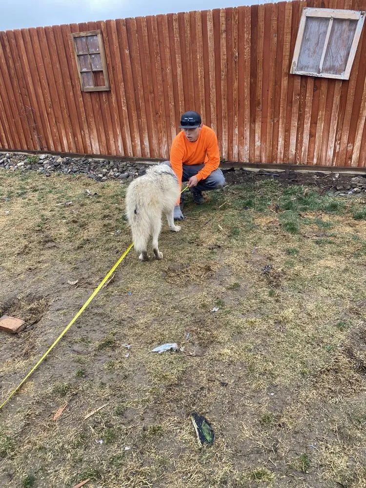 Expert outdoor landscaping experts serving Smith Valley, NV - Sierra Timber Scape