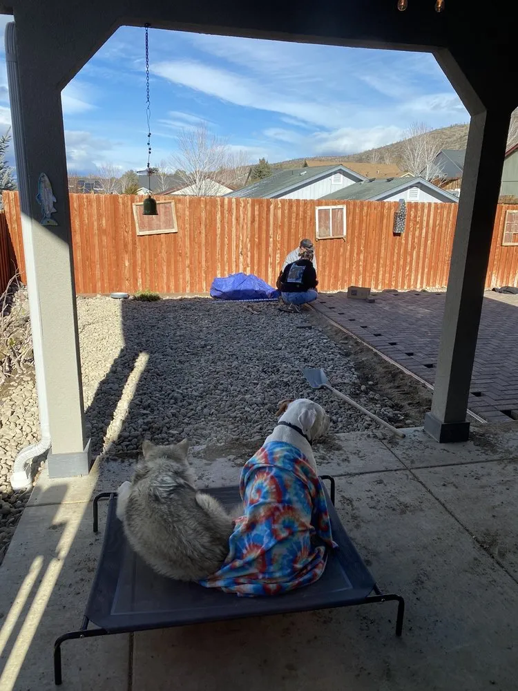 Expert lawn mowing service experts serving Smith Valley, NV - Sierra Timber Scape