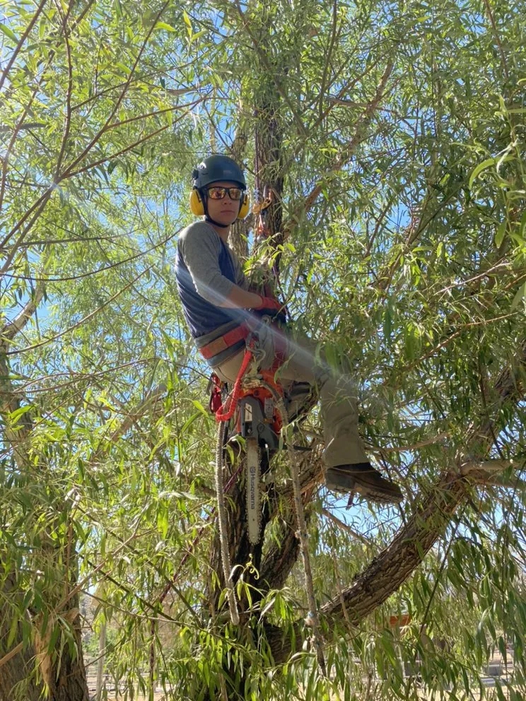 Top-rated landscape design for beautiful yards across Smith Valley, NV - Sierra Timber Scape