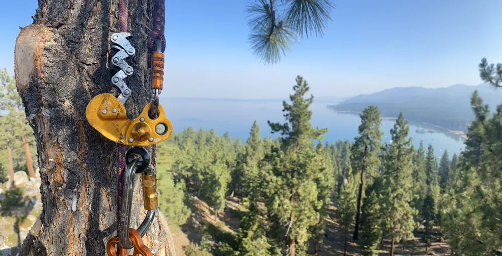 Professional yard cleanup service near you across Smith Valley, NV - Sierra Timber Scape