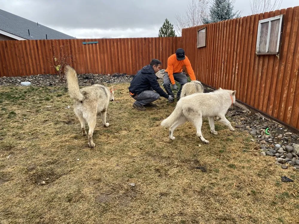 Reliable landscape design in Smith Valley, NV by Sierra Timber Scape