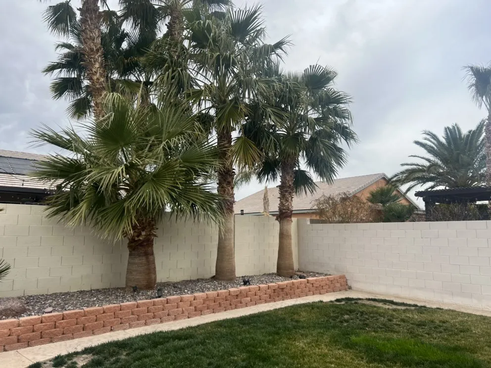 Local outdoor landscaping for residential properties in Las Vegas, NV by Sierra View Landscape