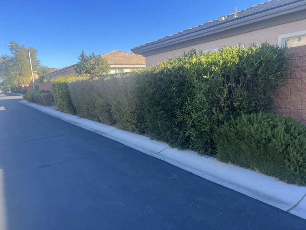 Local lawn mowing service in Las Vegas, NV by Sierra View Landscape