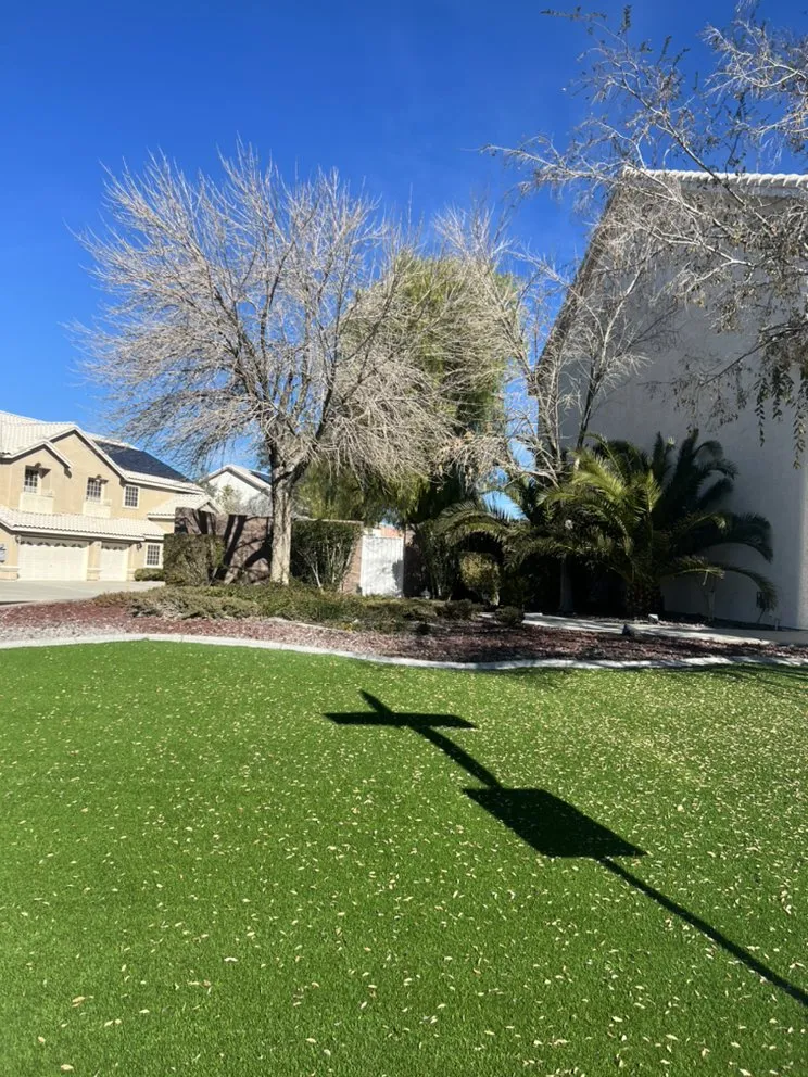 Local residential landscaping experts serving Las Vegas, NV - Sierra View Landscape