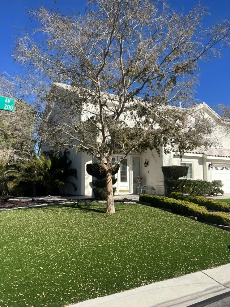 Reliable landscape design with custom design across Las Vegas, NV - Sierra View Landscape