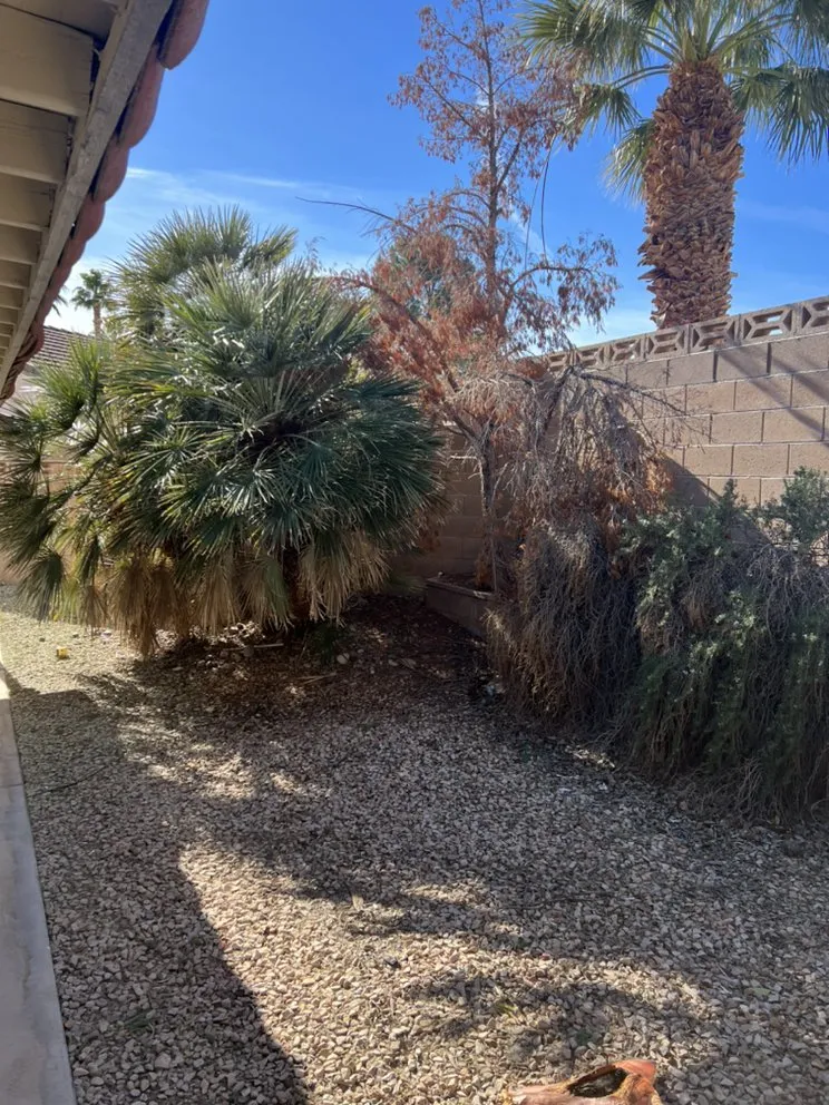 Top-rated landscape installation near you across Las Vegas, NV - Sierra View Landscape