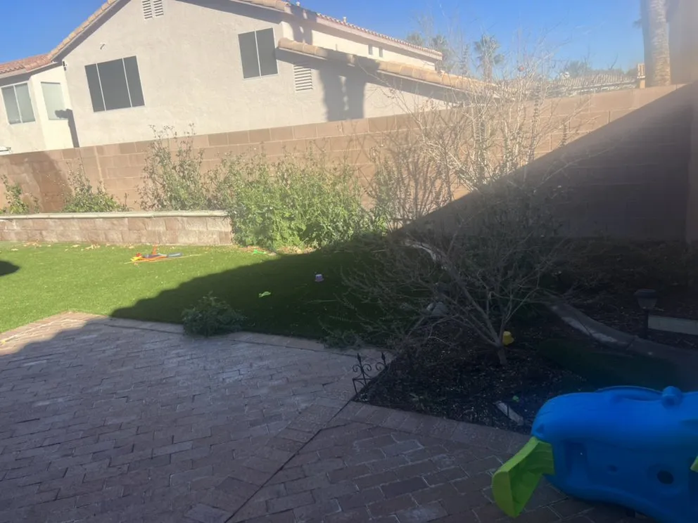 Trusted landscape installation in Las Vegas, NV - Sierra View Landscape