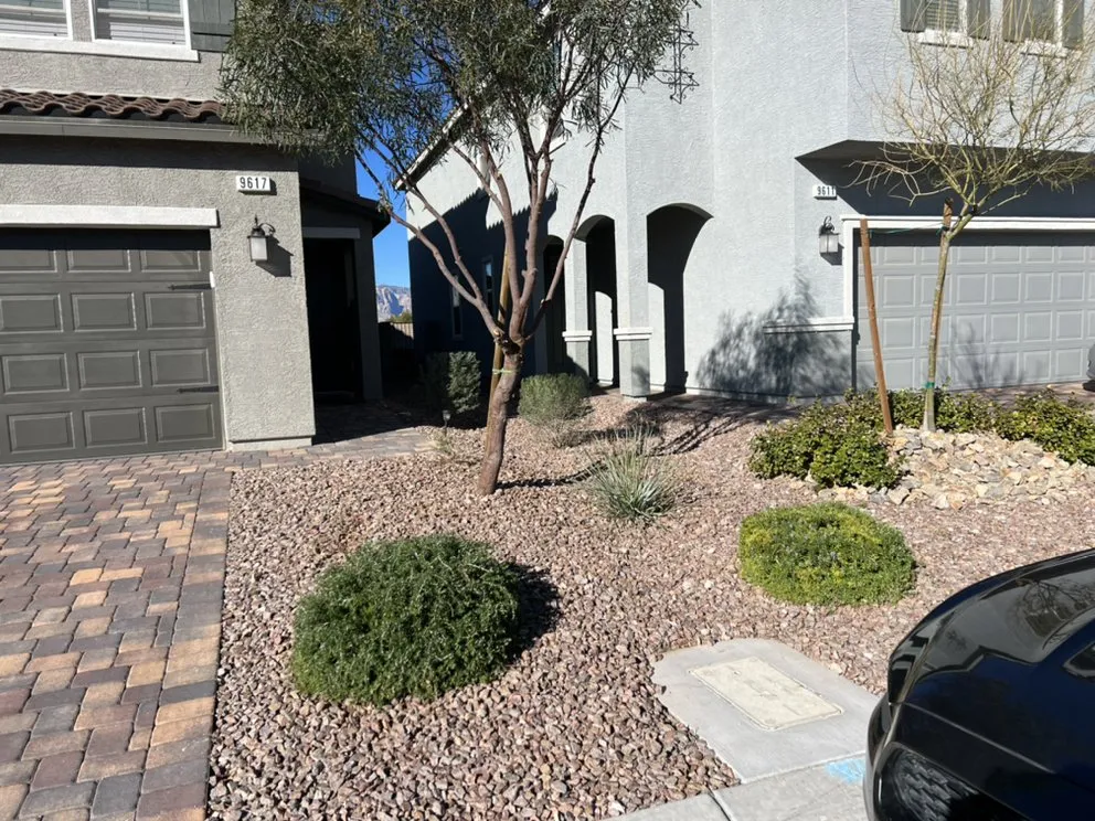 Top-rated garden landscaping in Las Vegas, NV by Sierra View Landscape