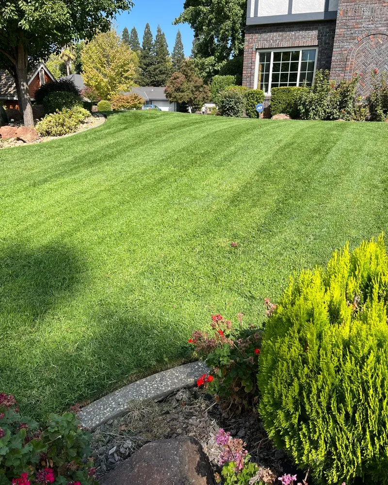 Reliable residential landscaping experts serving Orangevale, CA - Sierra Vista Landscape Services