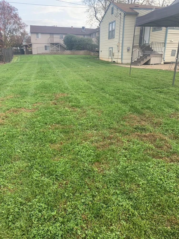 Affordable lawn care service in Orangevale, CA - Sierra Vista Landscape Services