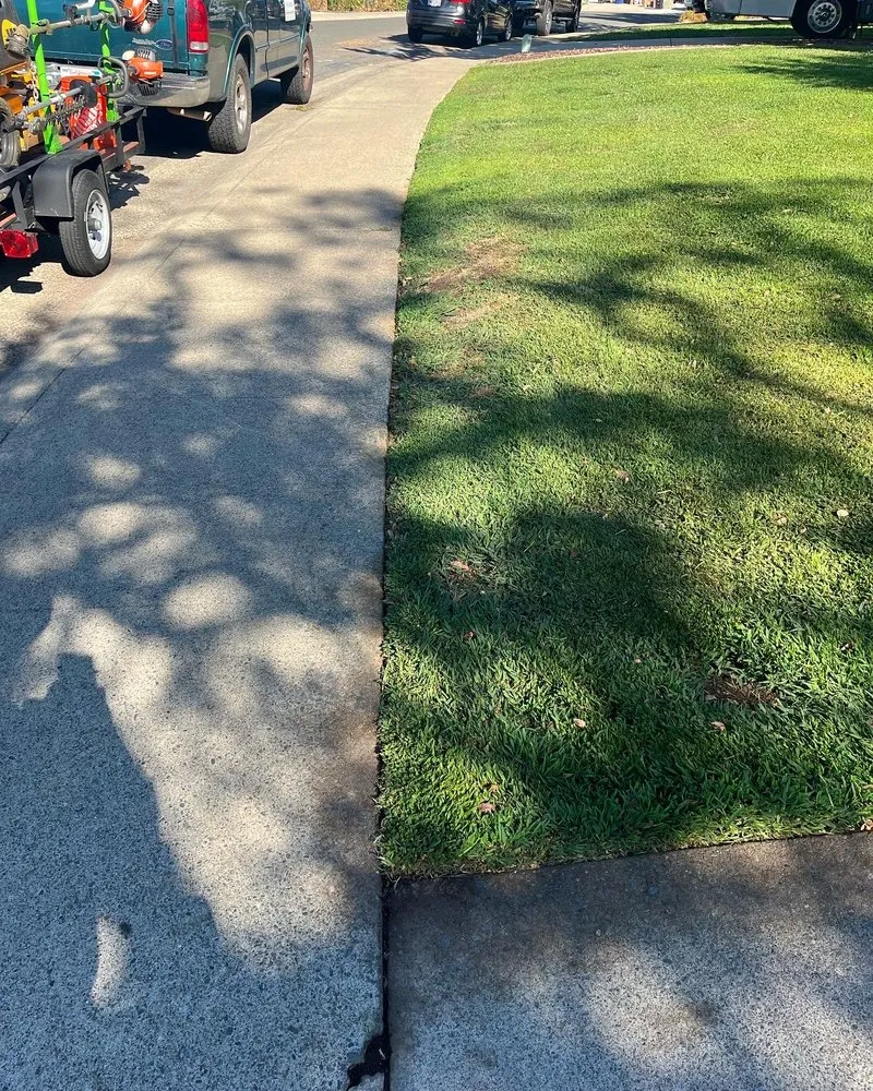 Affordable yard maintenance experts serving Orangevale, CA - Sierra Vista Landscape Services