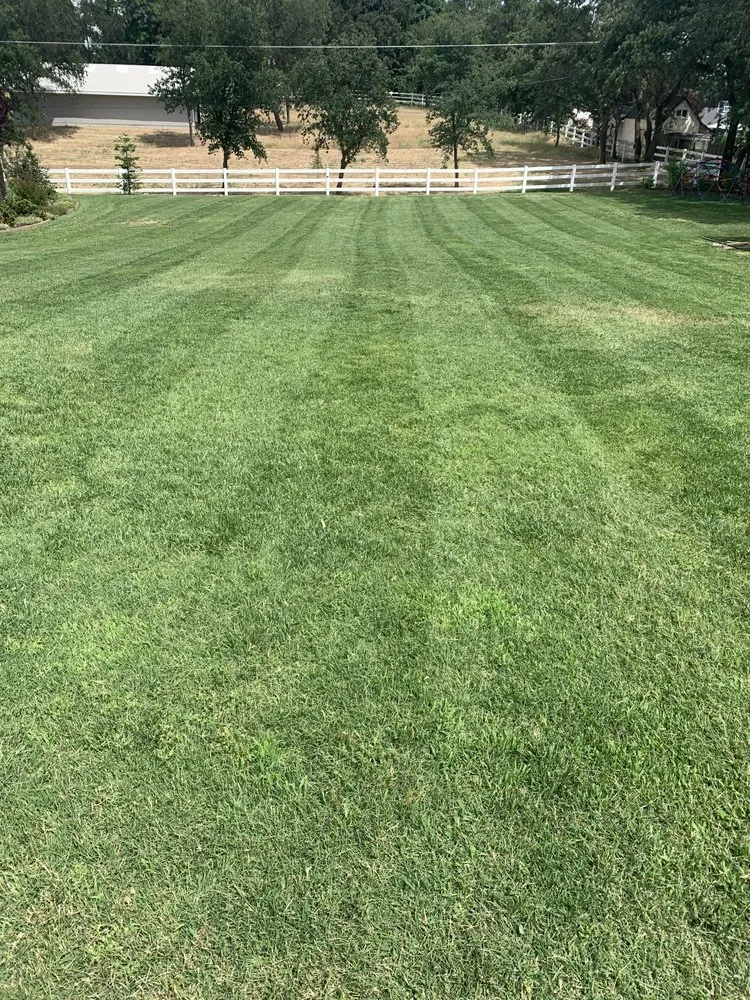 Local landscape installation experts serving Orangevale, CA - Sierra Vista Landscape Services