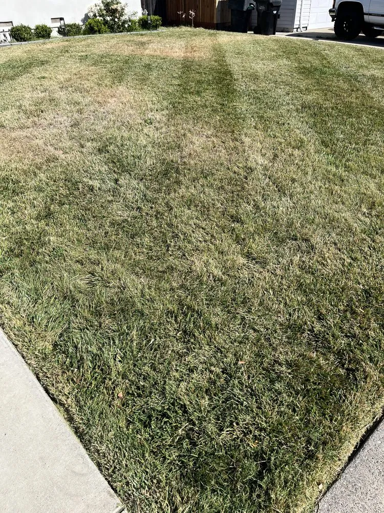 Expert residential landscaping in Orangevale, CA - Sierra Vista Landscape Services