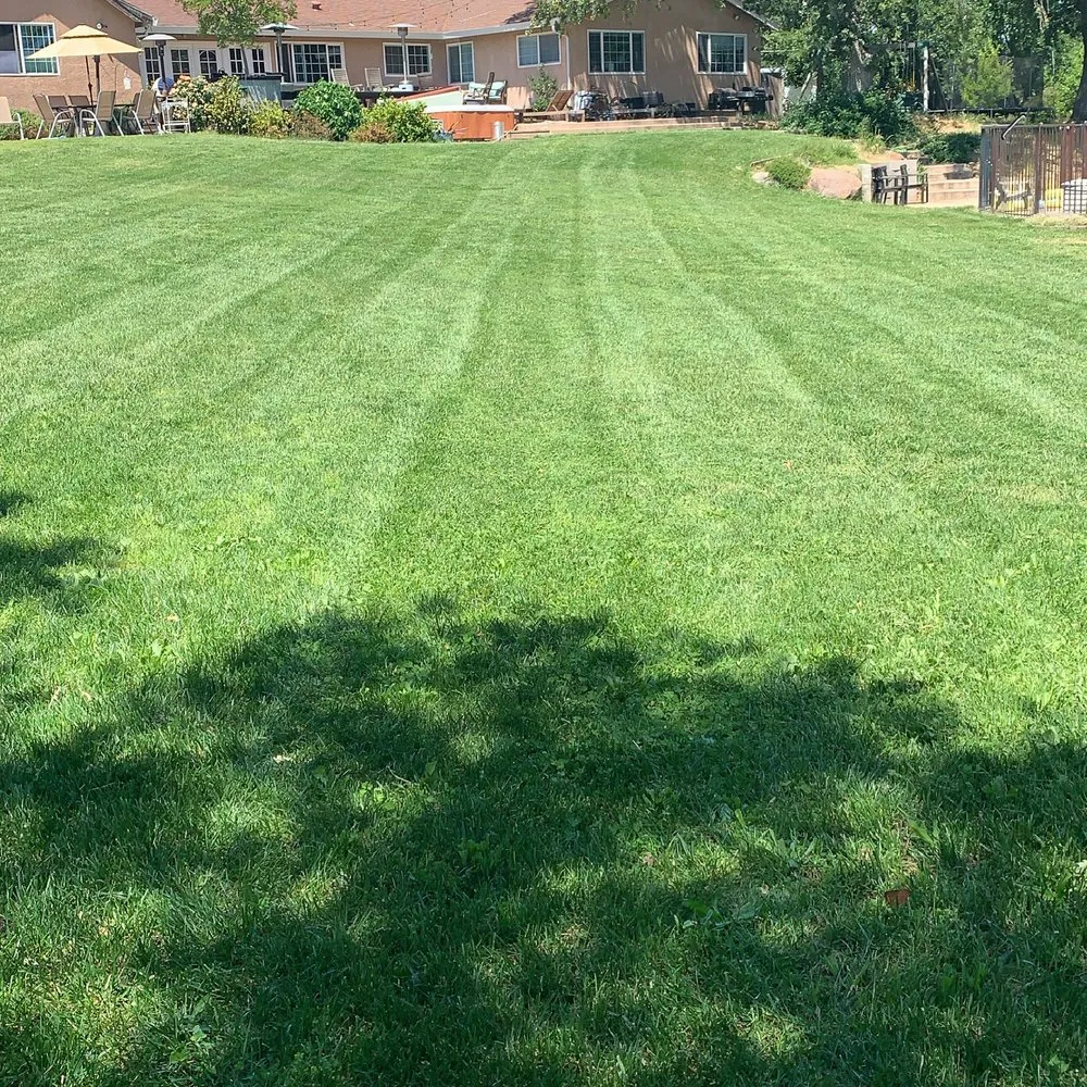 Reliable landscaping services in Orangevale, CA by Sierra Vista Landscape Services