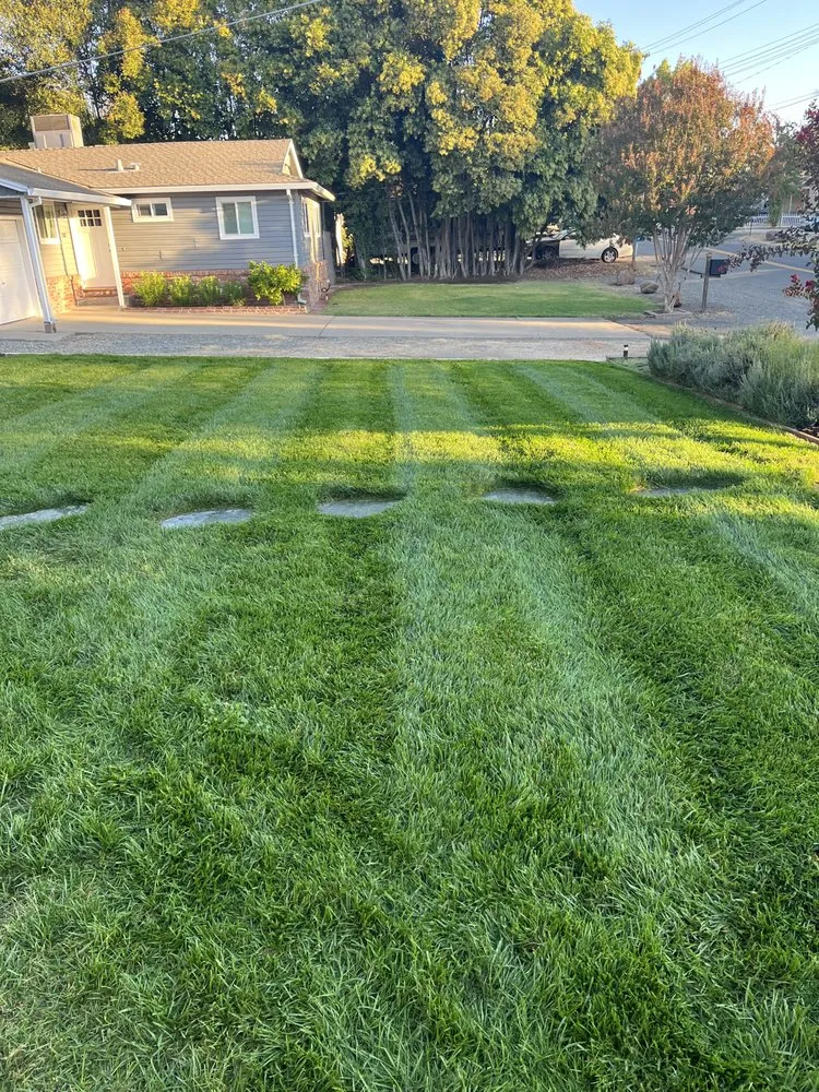 Local landscaping services for beautiful yards across Orangevale, CA - Sierra Vista Landscape Services