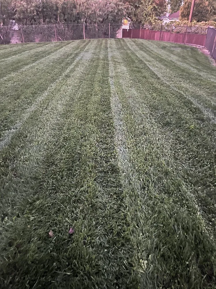 Affordable yard cleanup service for outdoor upgrades across Orangevale, CA - Sierra Vista Landscape Services