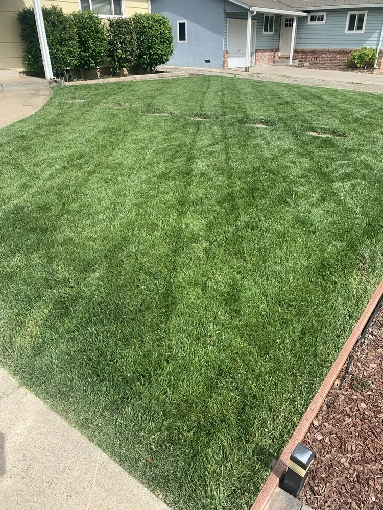 Top-rated landscaping services for residential properties in Orangevale, CA by Sierra Vista Landscape Services